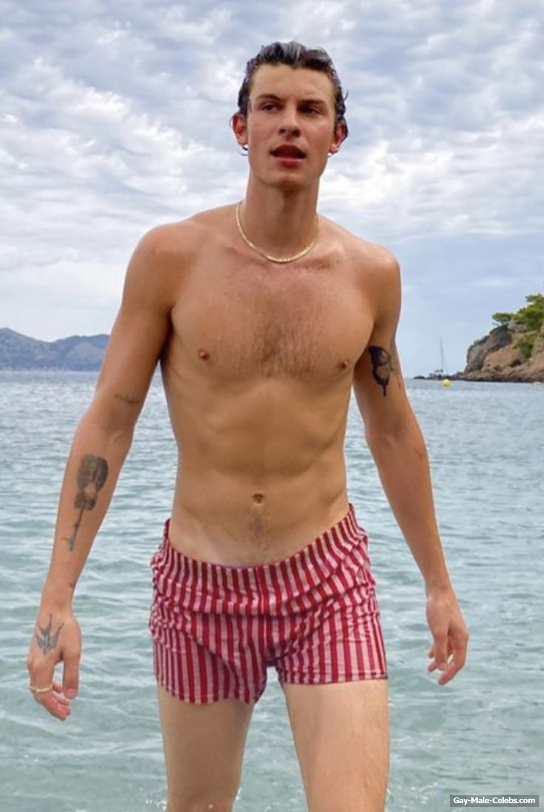 Shawn Mendes Sexy 1 Photo The Male Fappening