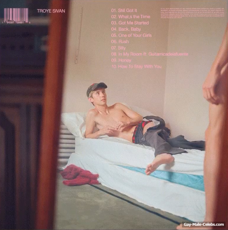 Troye Sivan Leaked Nude And Sexy Screenshots The Male Fappening