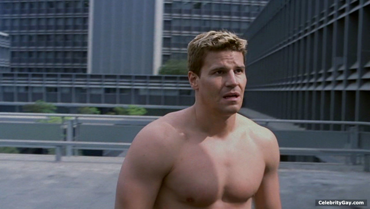 David Boreanaz is an American actor, mostly famous for his role as Angel on...