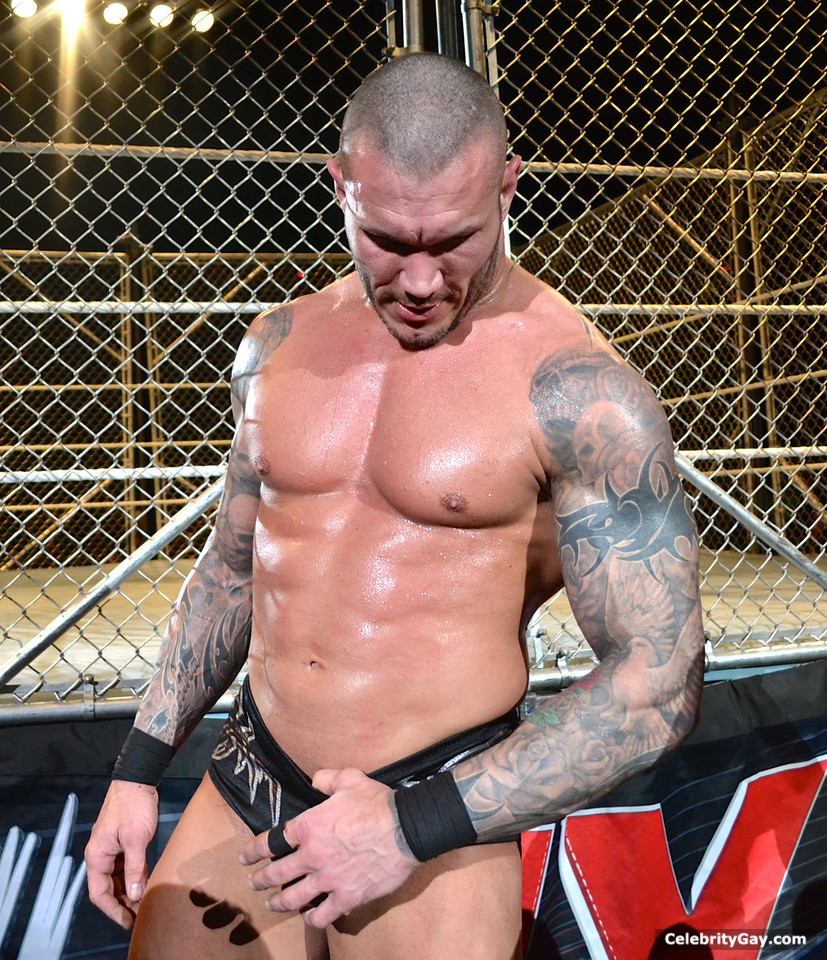 Randy Orton is a WWE wrestler, notable for his endless feuds with Cena and ...