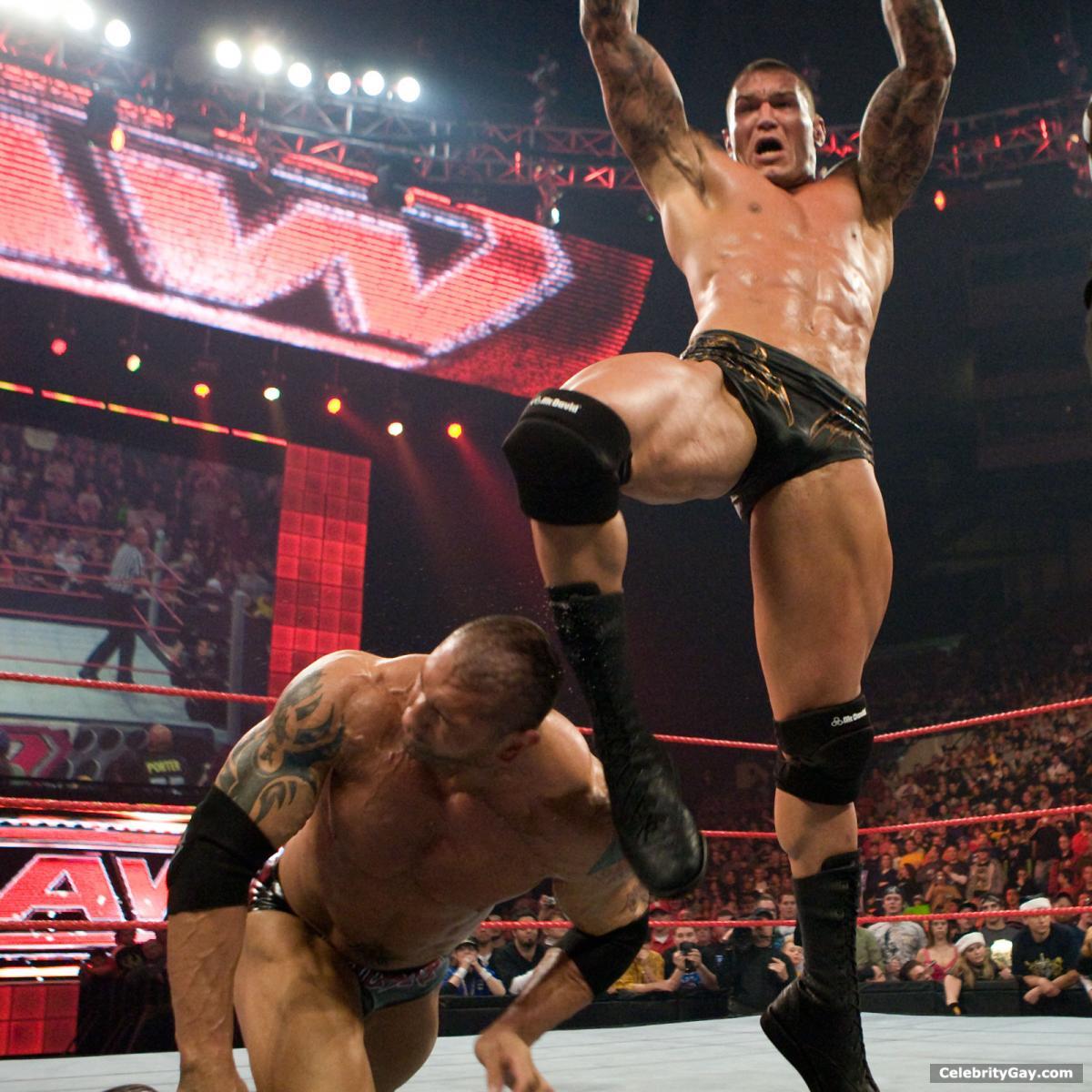 Randy Orton is a WWE wrestler, notable for his endless feuds with Cena and ...