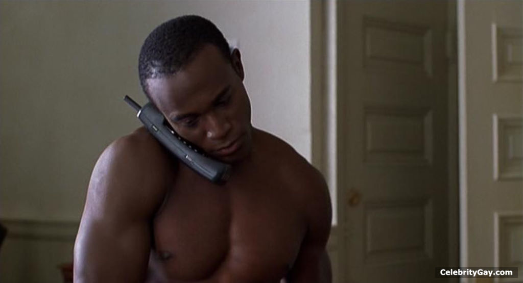 Naked Taye Diggs pictures + various shirtless scenes. 