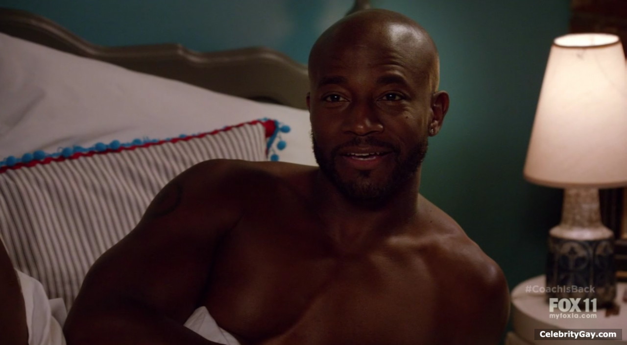 Naked Taye Diggs pictures + various shirtless scenes. 