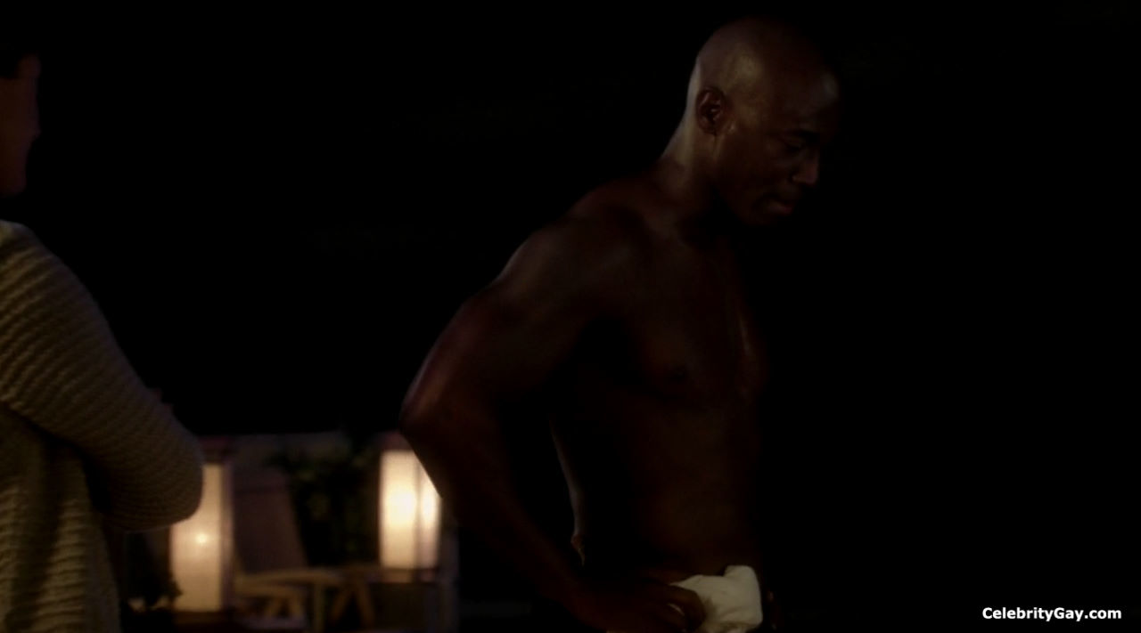 Naked Taye Diggs pictures + various shirtless scenes. 