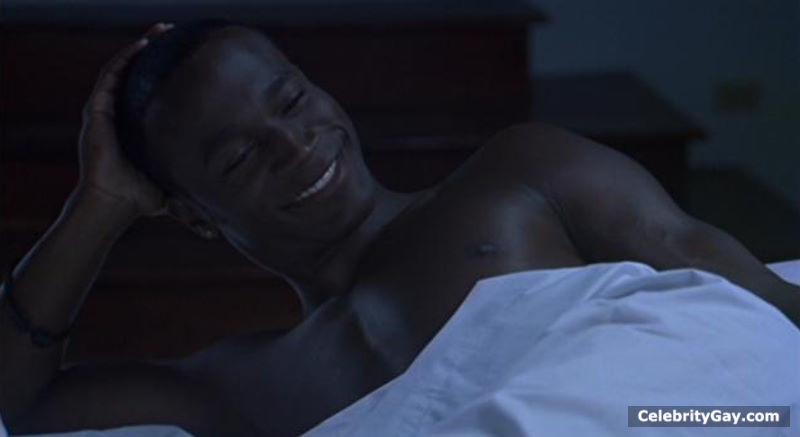 Naked Taye Diggs pictures + various shirtless scenes. 