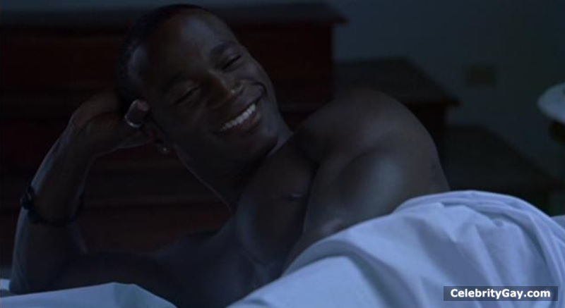 Naked Taye Diggs pictures + various shirtless scenes. 