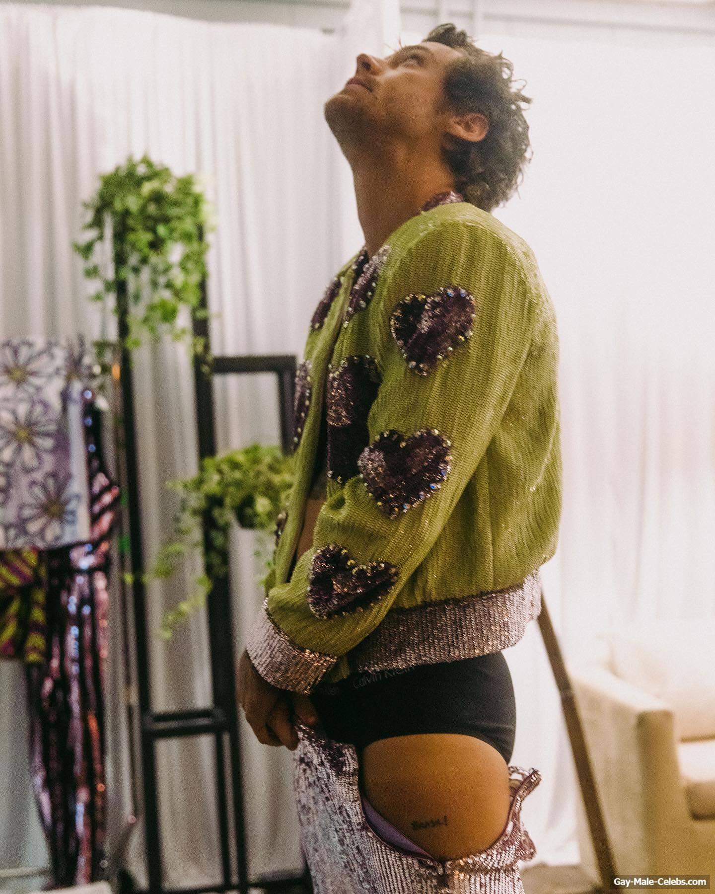 Harry Styles Bare Ass And Shaved Pubis Oops Pics
