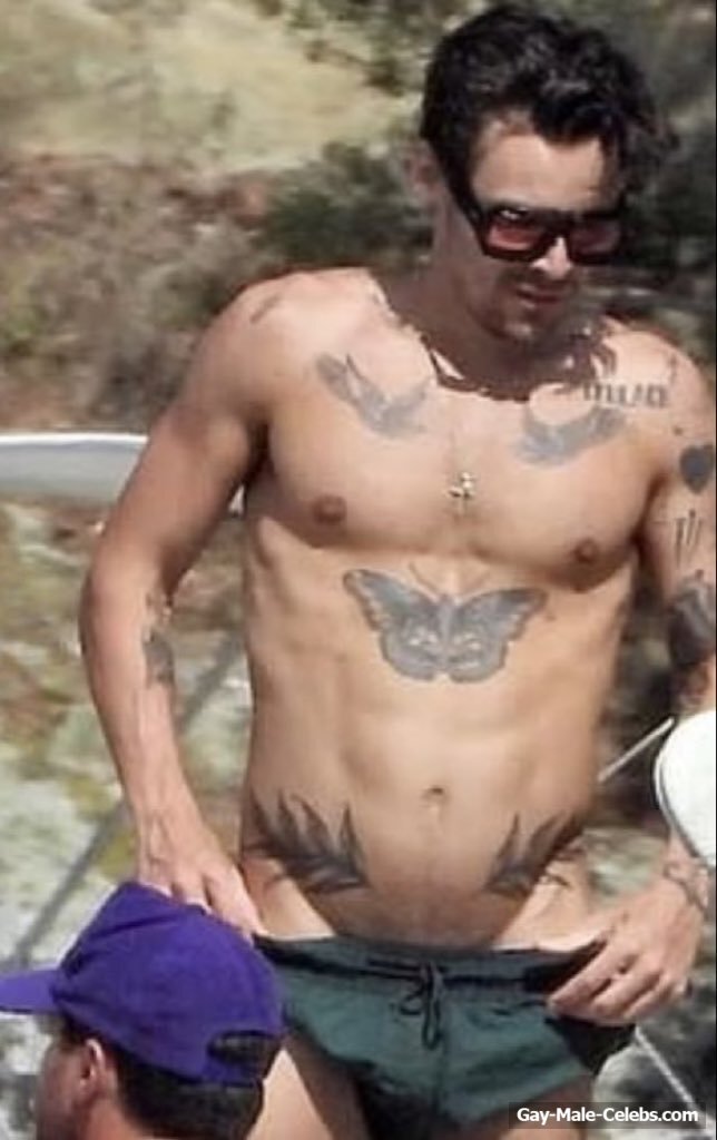 Harry Styles Bare Ass And Shaved Pubis Oops Pics