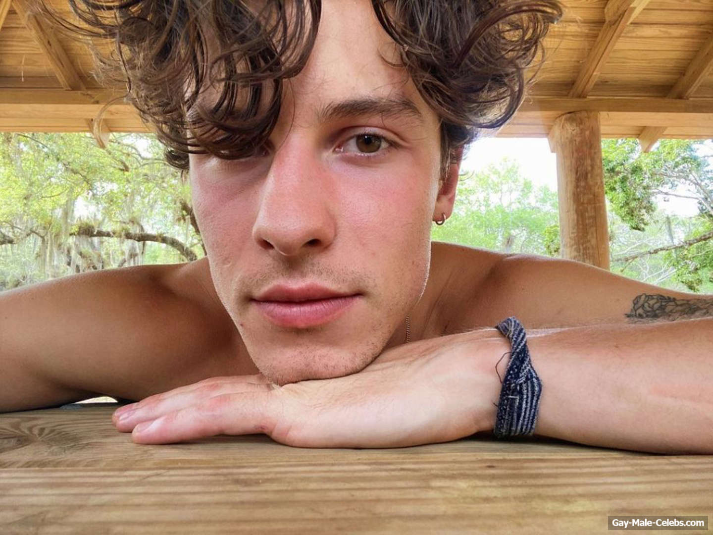 Shawn Mendes Outline of a Penis in Wet Underwear