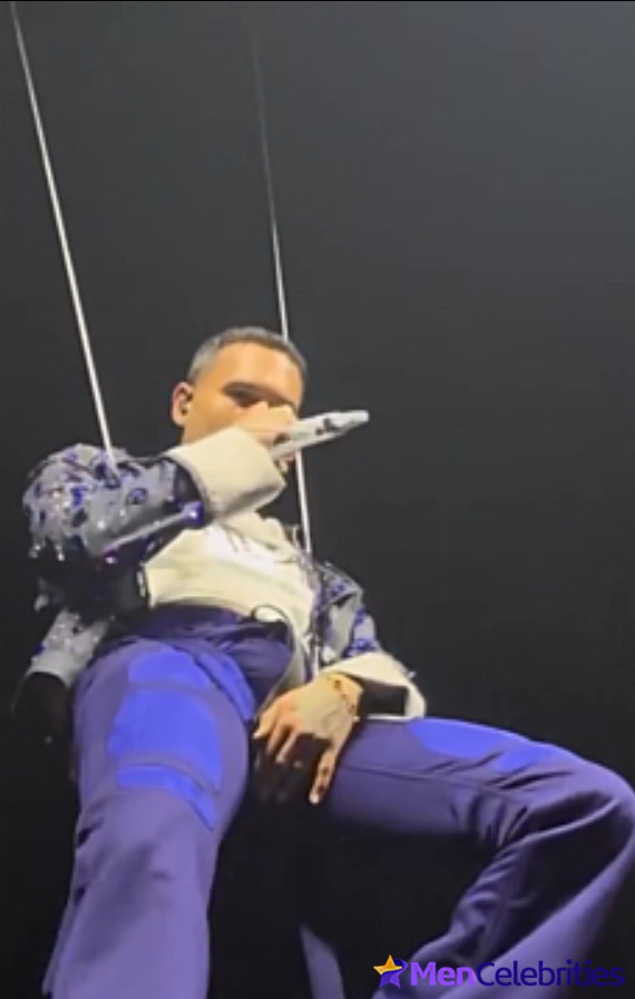 Chris Brown teases fans with his big bulge during a concert