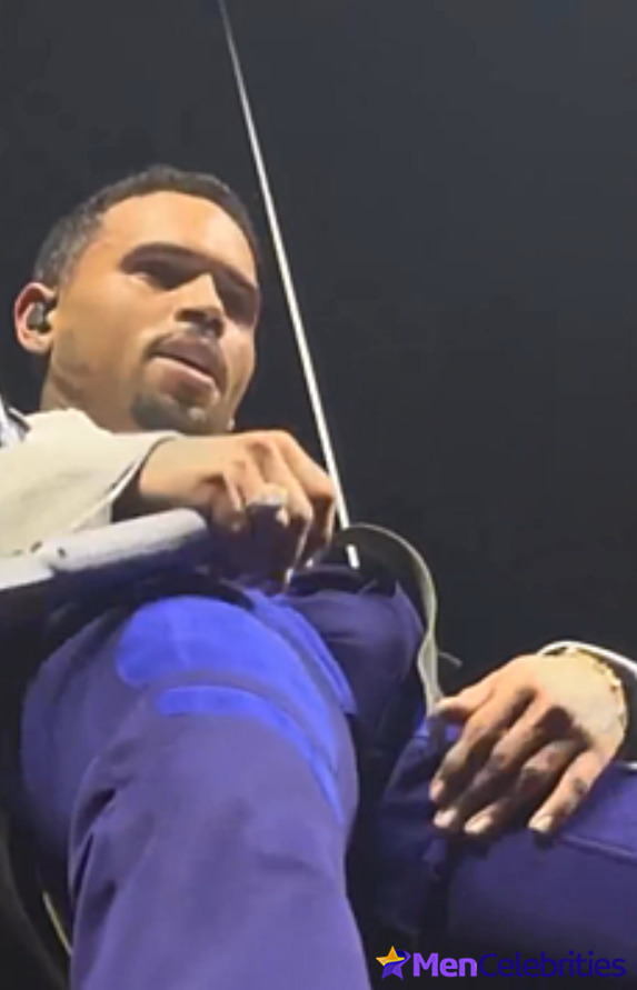 Chris Brown teases fans with his big bulge during a concert