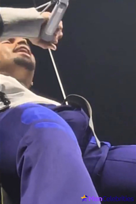 Chris Brown teases fans with his big bulge during a concert