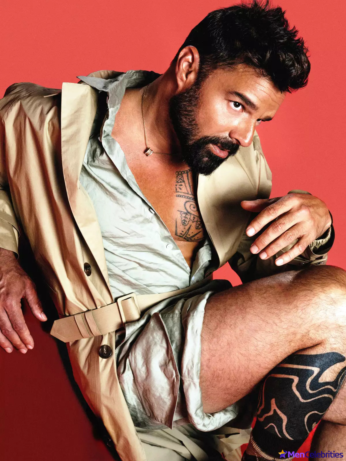 Ricky Martin shirtless
