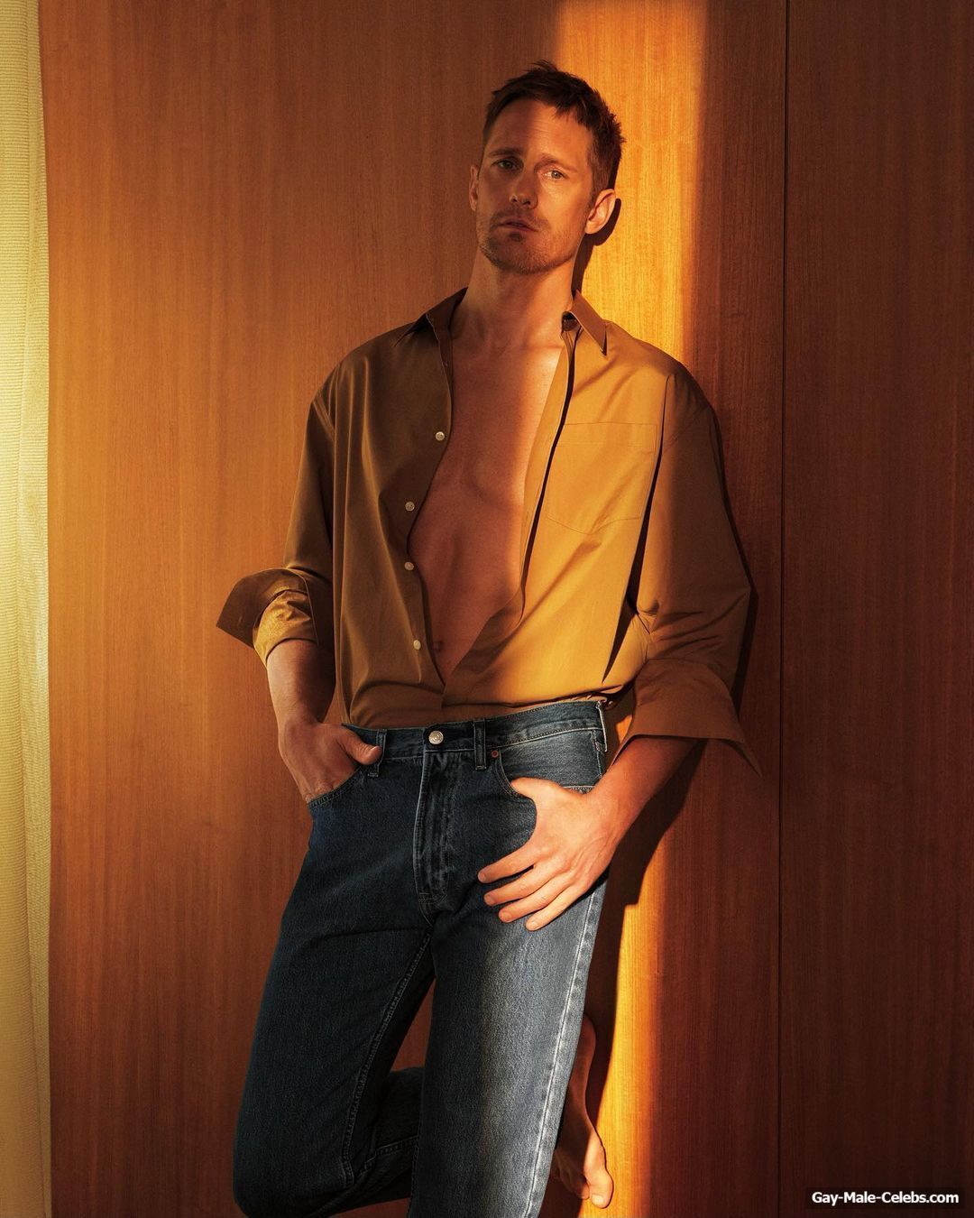 alexander skarsgard bulge