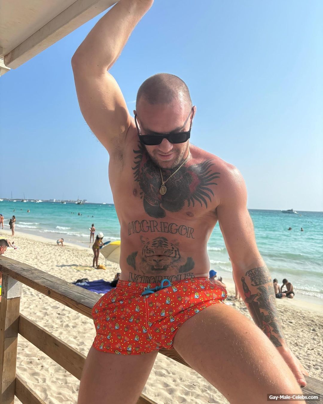 Conor McGregor shirtless