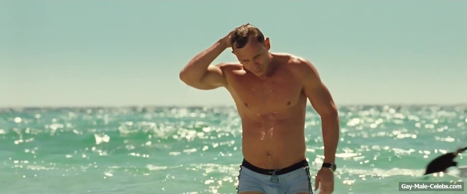 Daniel Craig bulge