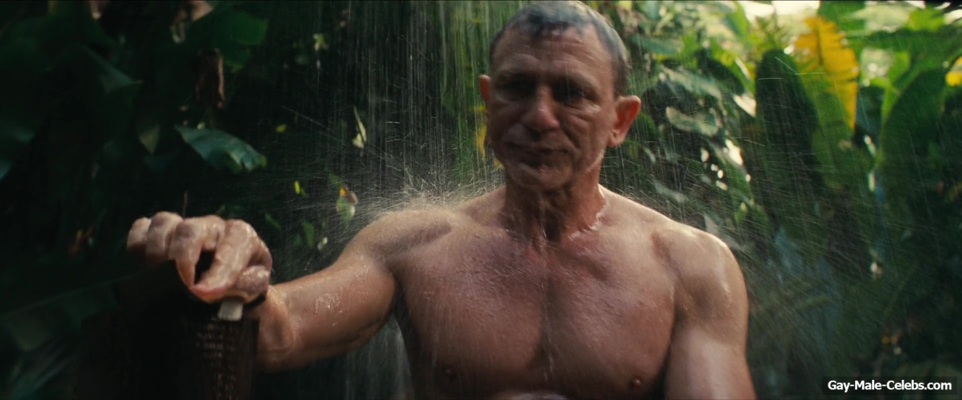 Daniel Craig shirtless