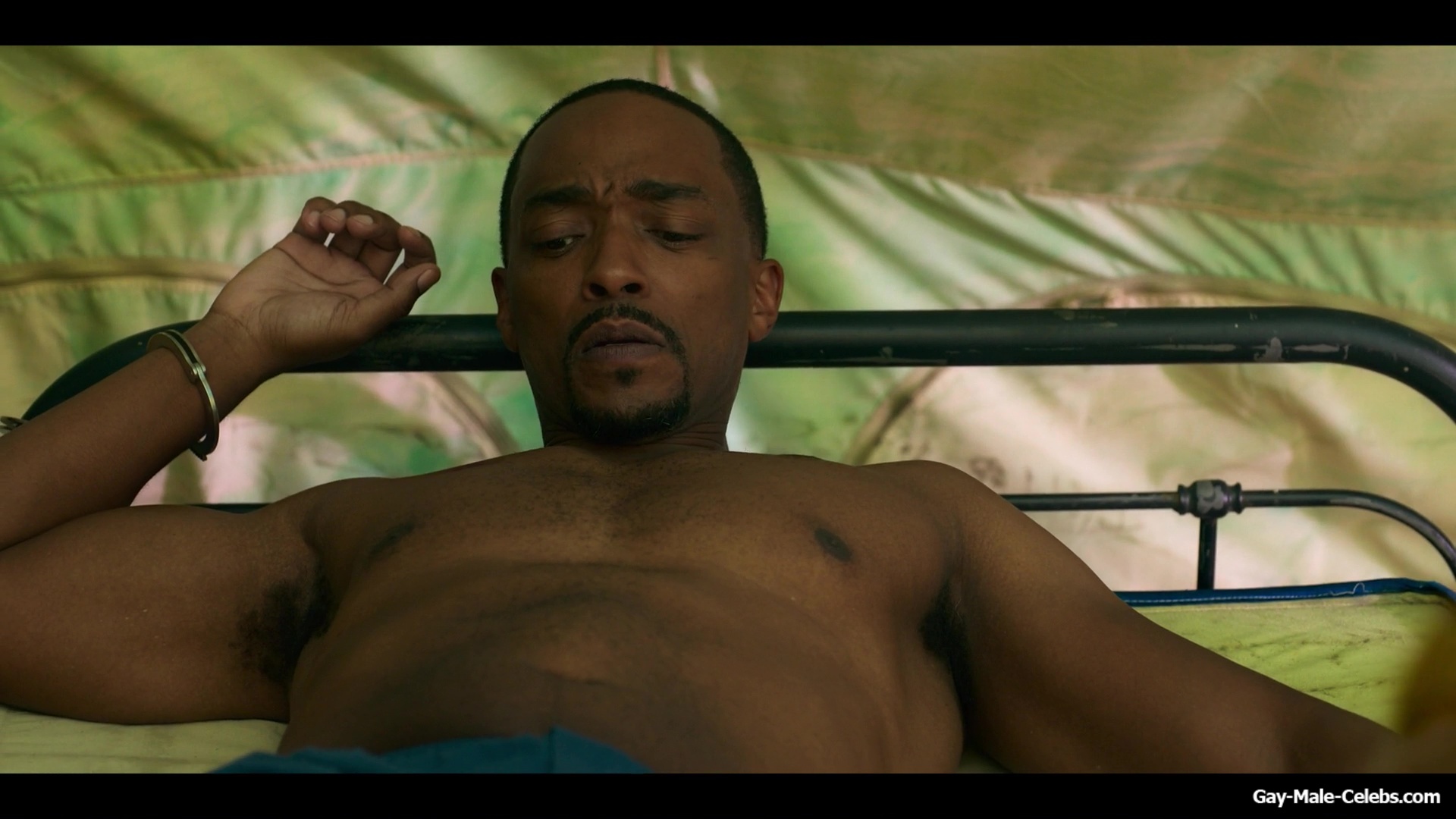 Anthony Mackie nsfw