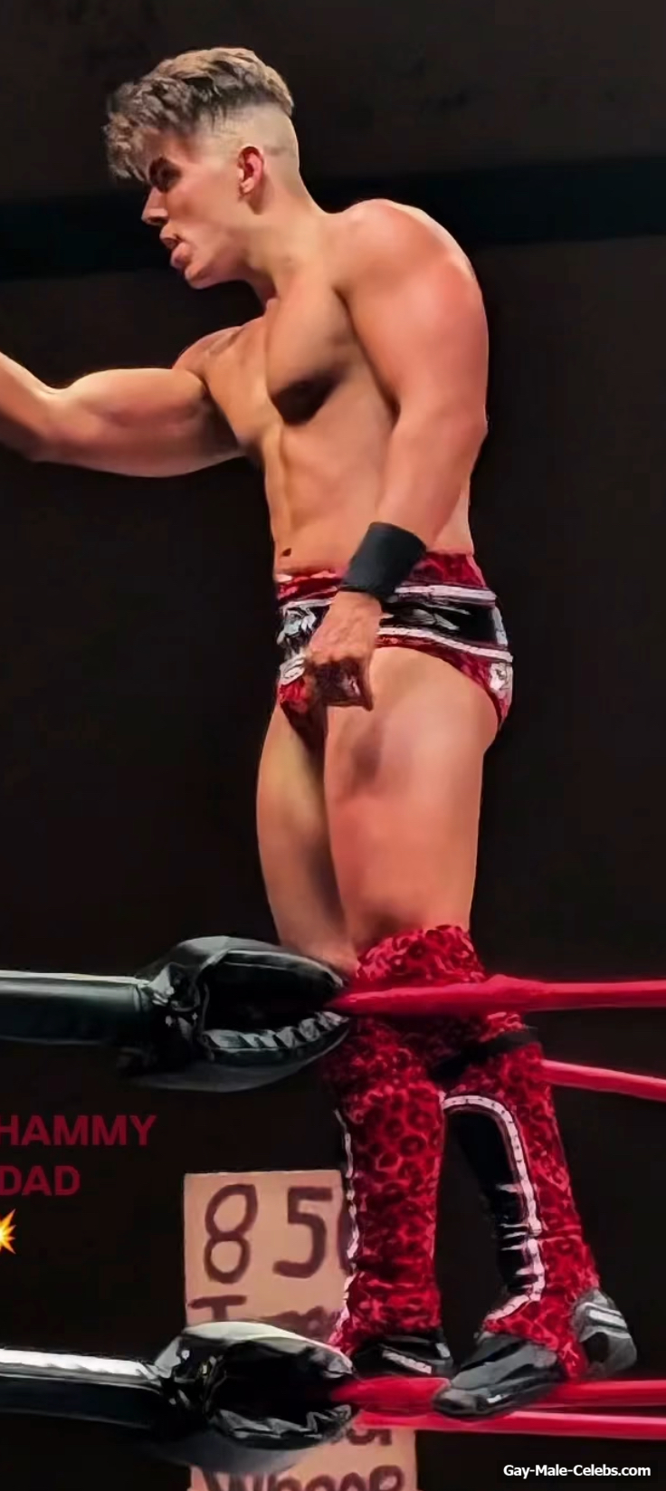 Sammy Guevara nude and sexy