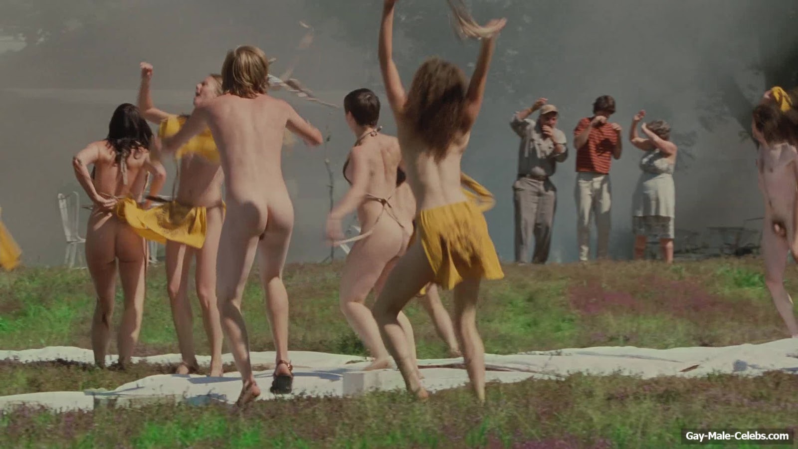 Zachary Booth nude in Taking Woodstock