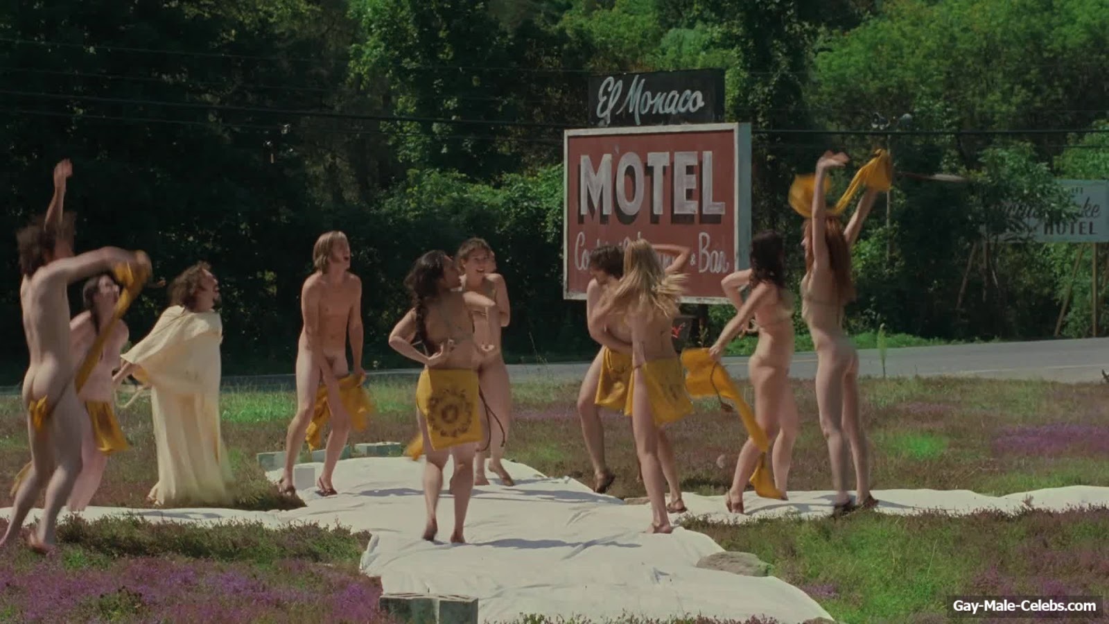 Zachary Booth nude in Taking Woodstock