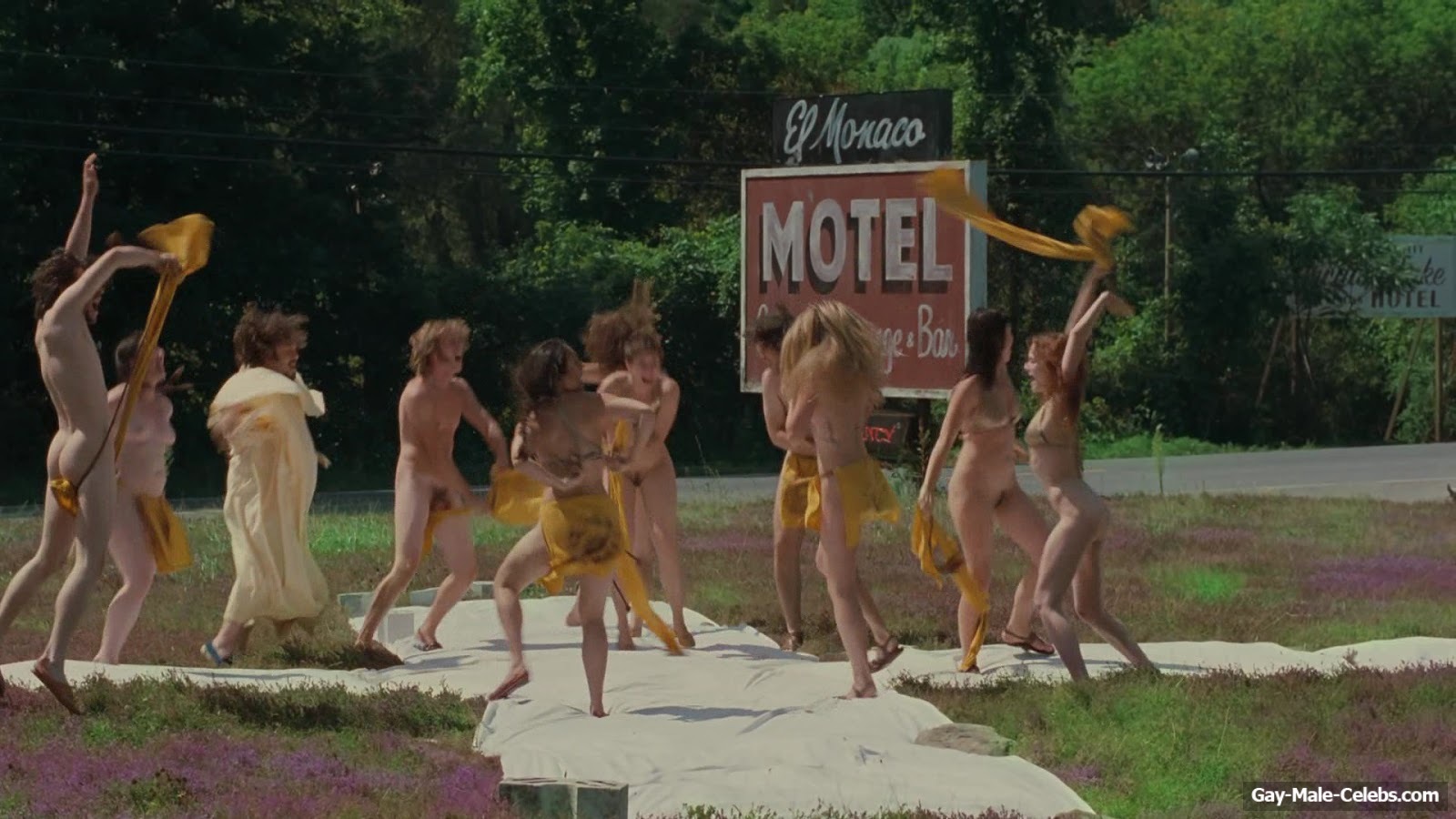 Zachary Booth nude in Taking Woodstock