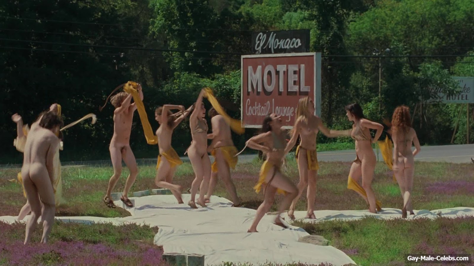 Zachary Booth nude in Taking Woodstock