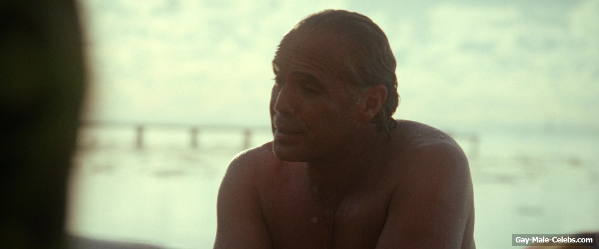 Billy Zane nude in Waltzing With Brando