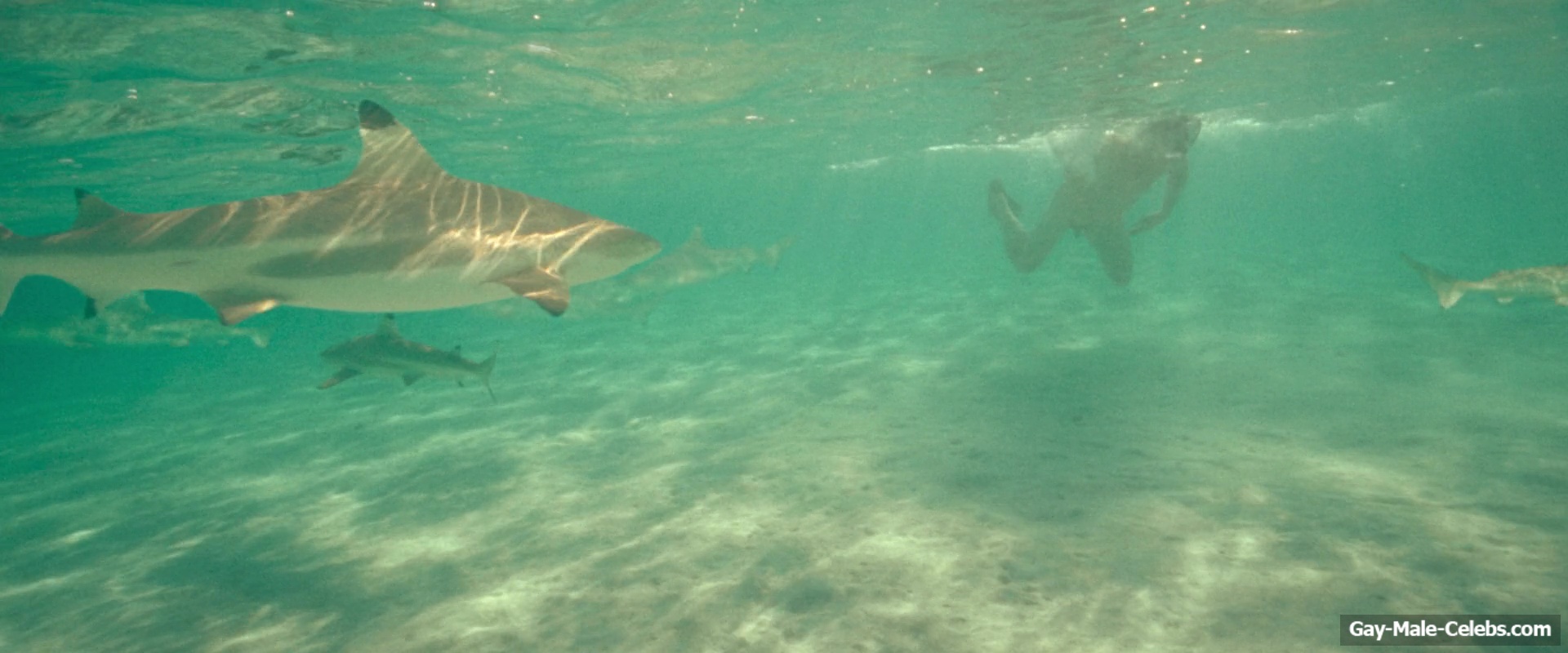 Billy Zane nude in Waltzing With Brando