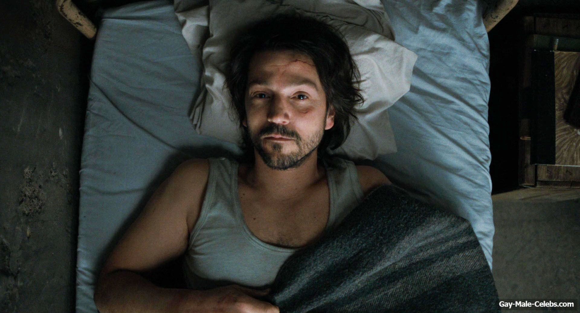 Diego Luna gay sex in Kiss Of The Spider Woman