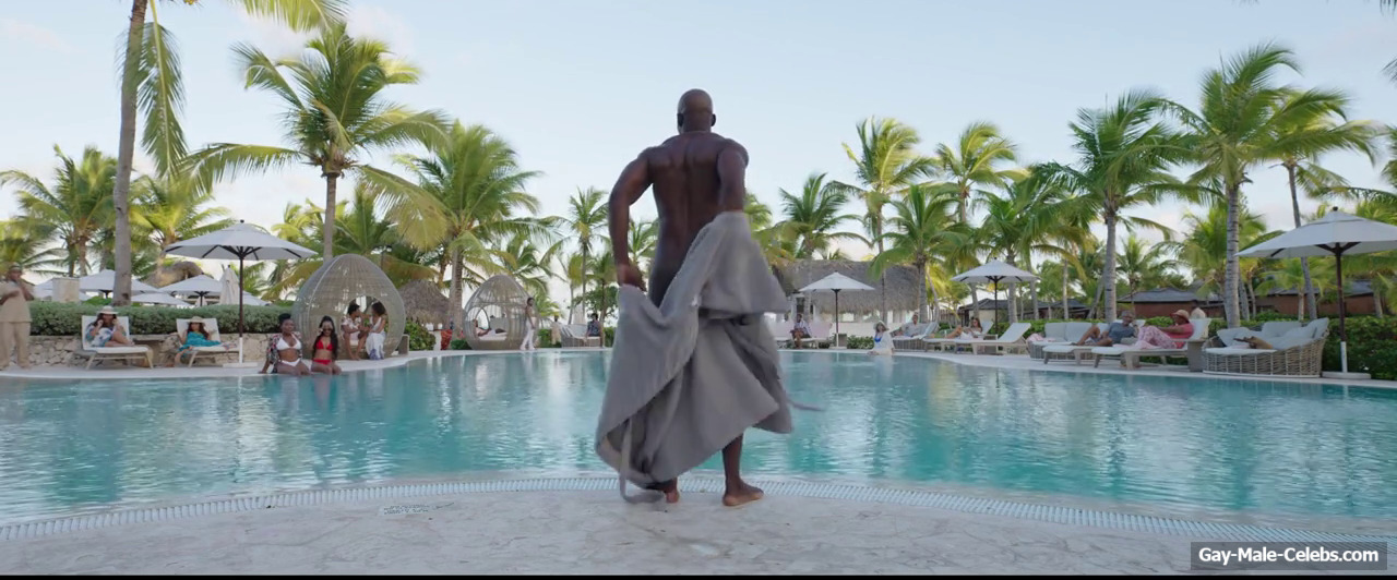 Morris Chestnut Nude And Hot Scenes in The Best Man: The Final Chapters