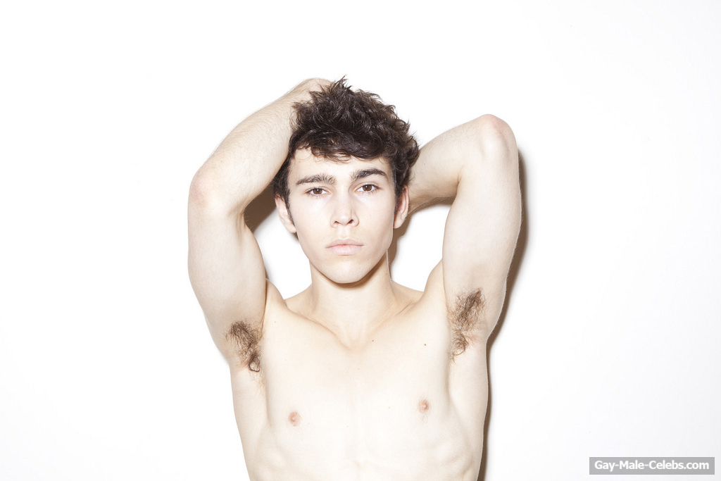 Max Schneider nude and sexy
