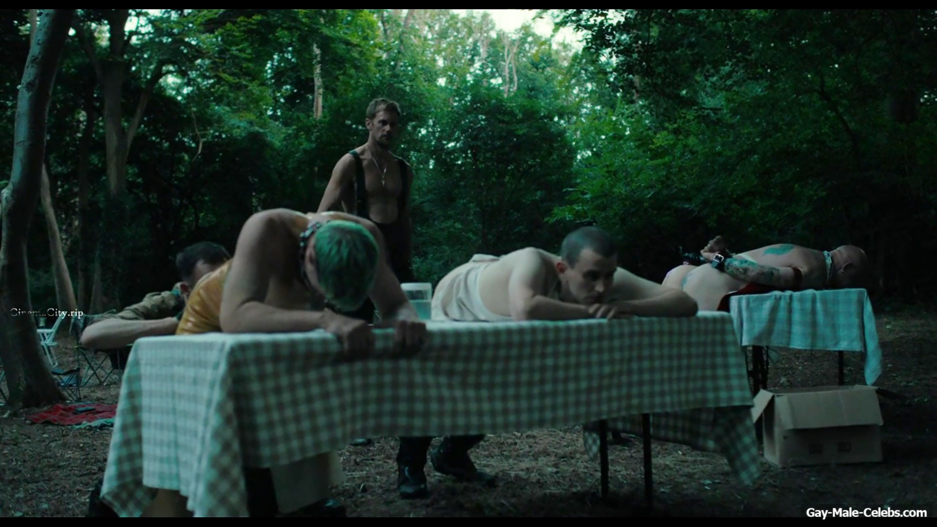 Alexander Skarsgrd and Harry Melling Nude And Rough Gay Sex in Pillion