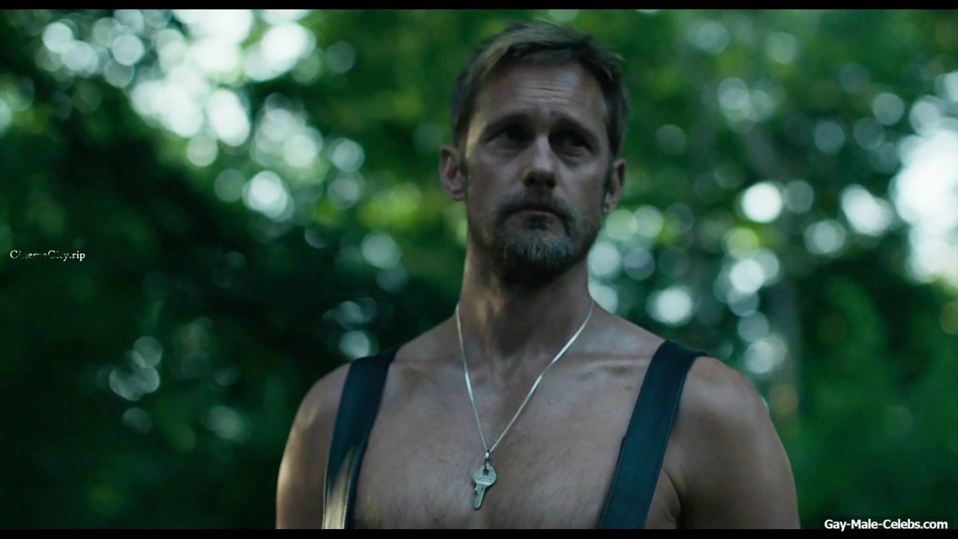 Alexander Skarsgrd and Harry Melling Nude And Rough Gay Sex in Pillion