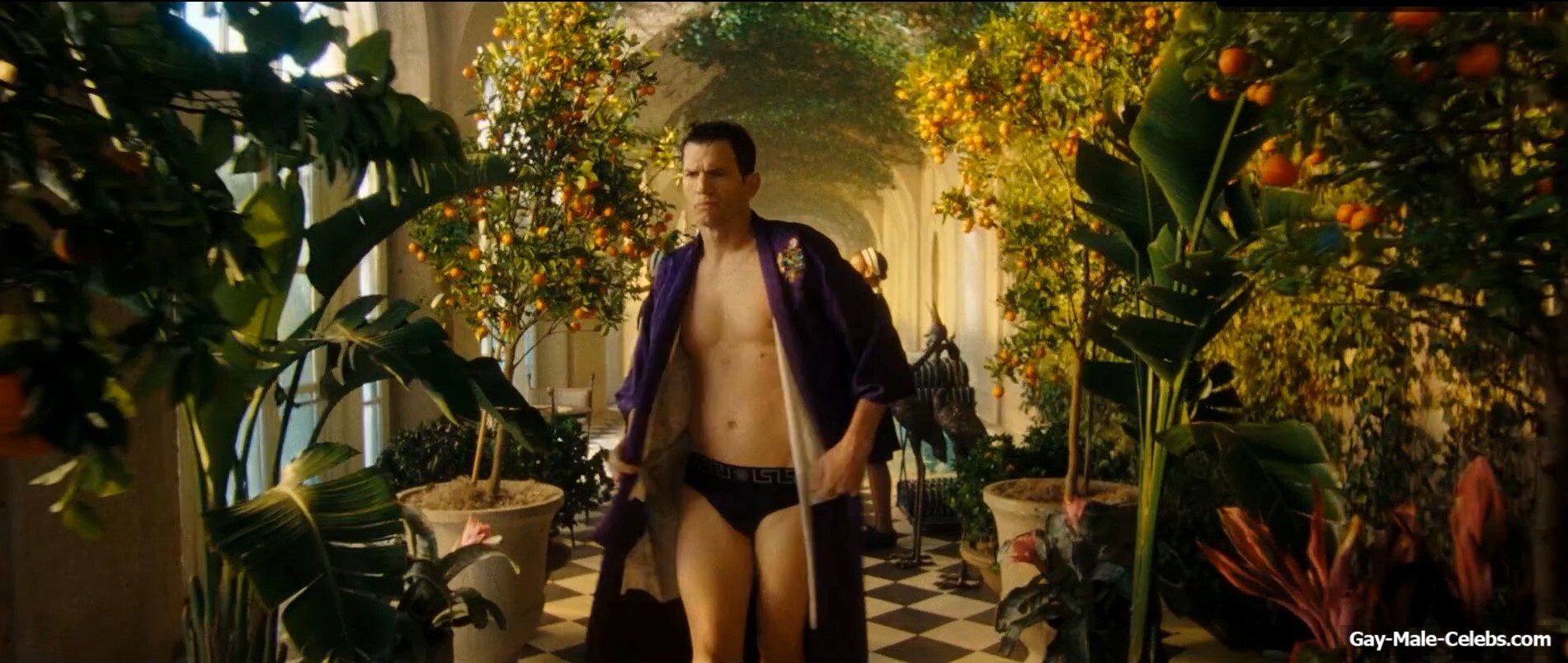 Ashton Kutcher bulge and shirtless in The Beauty