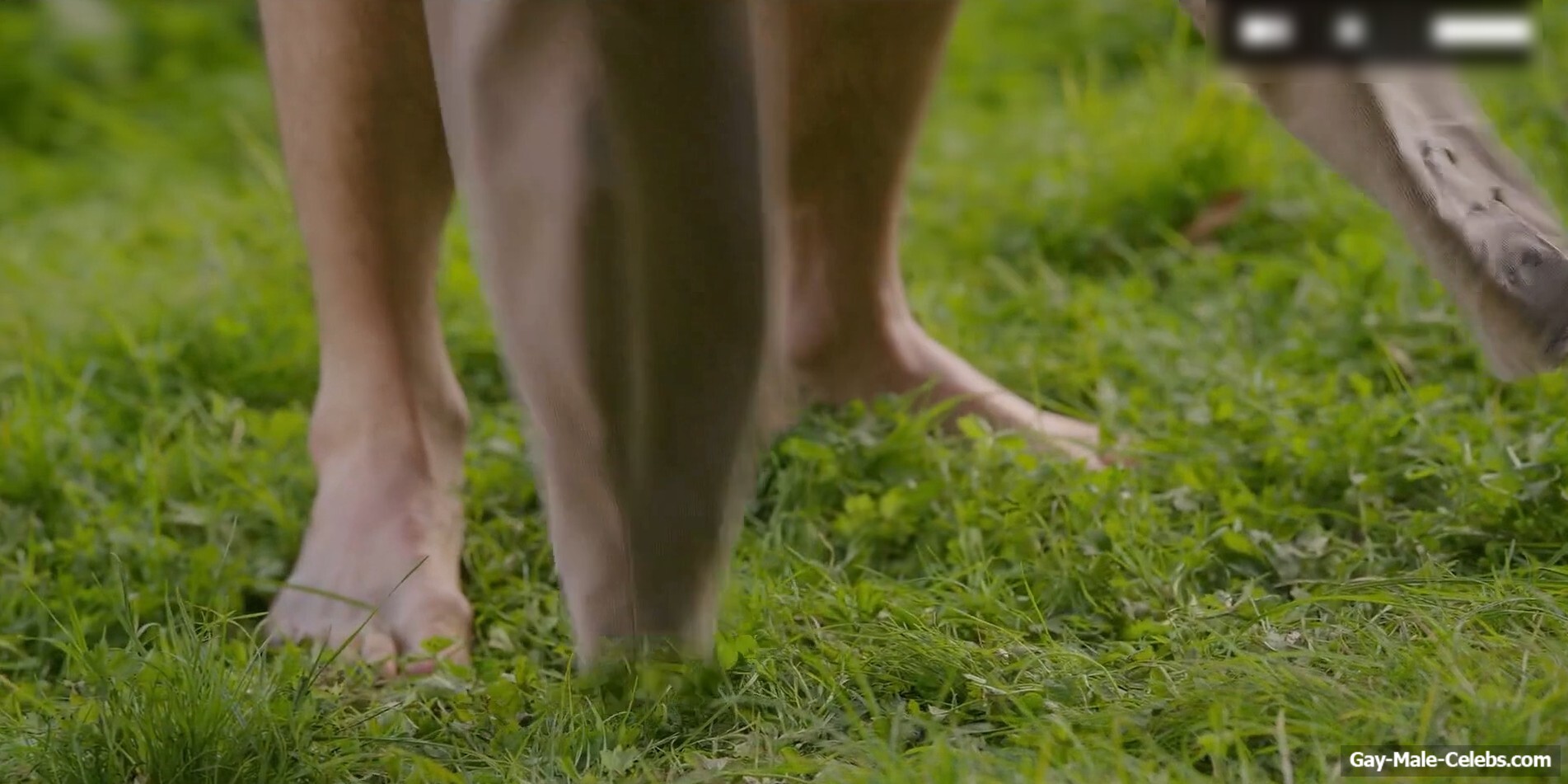 Luke Thompson Nude Scenes in Bridgerton