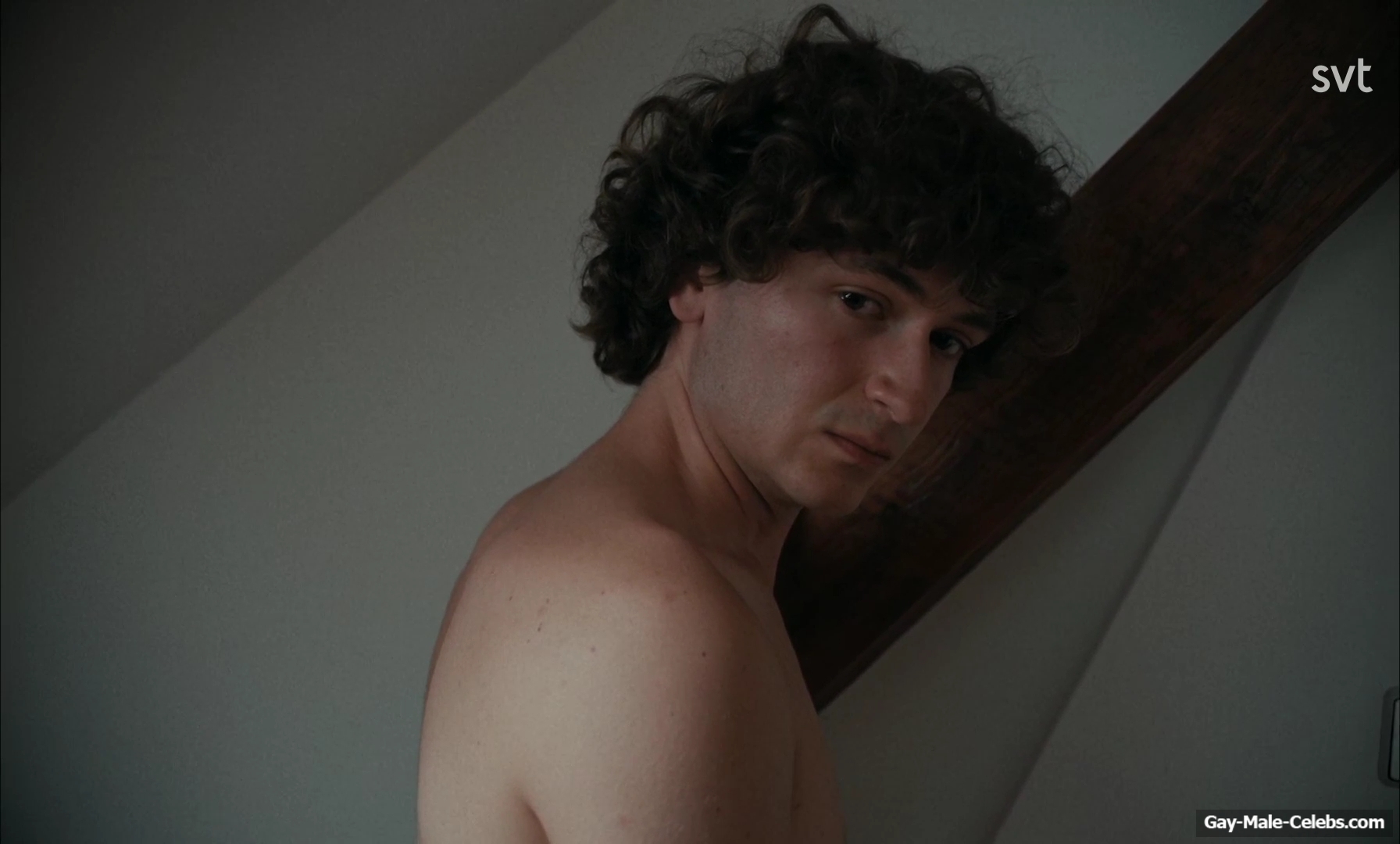 Odin Romanus nude scenes in Leva Lite