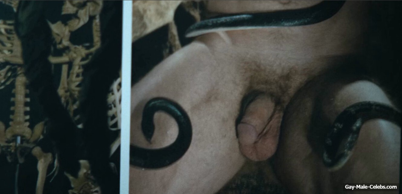 David Harbour Nude Penis Scenes In DTF St. Louis