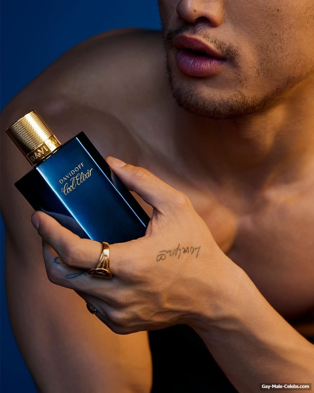 Charles Melton Shirtless And Cock Bulge Pics