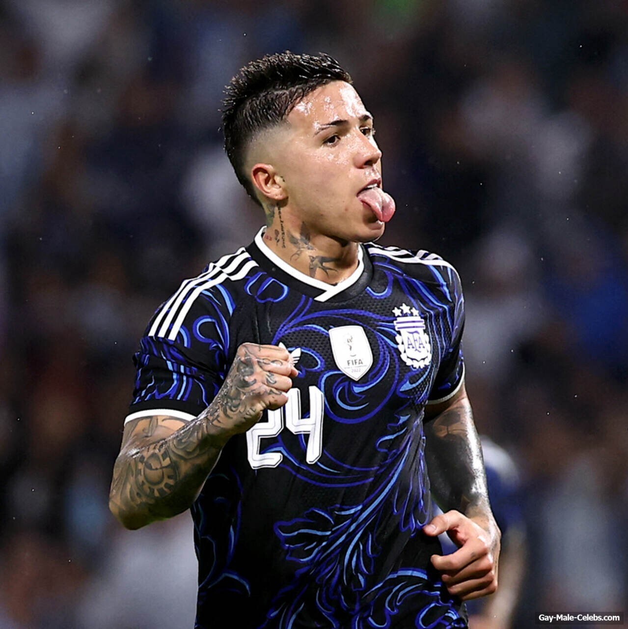Enzo Fernandez Cock Bulge And Shaved Pubis Pics