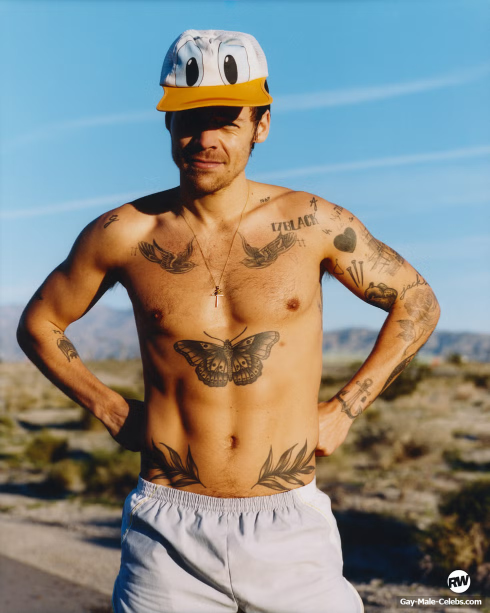 Harry Styles shirtless