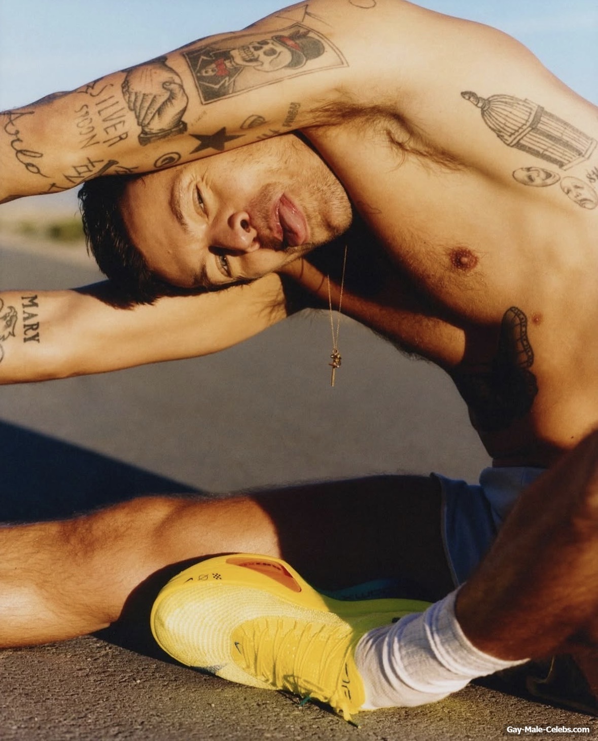 Harry Styles nude