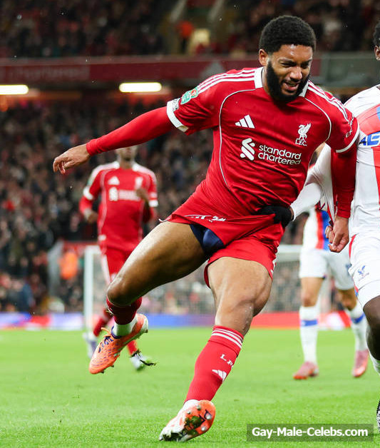 Joe Gomez penis bulge