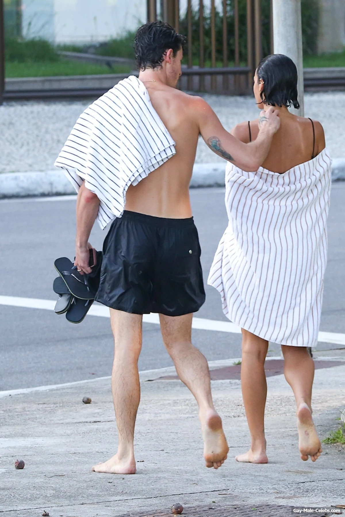 Shawn Mendes ass