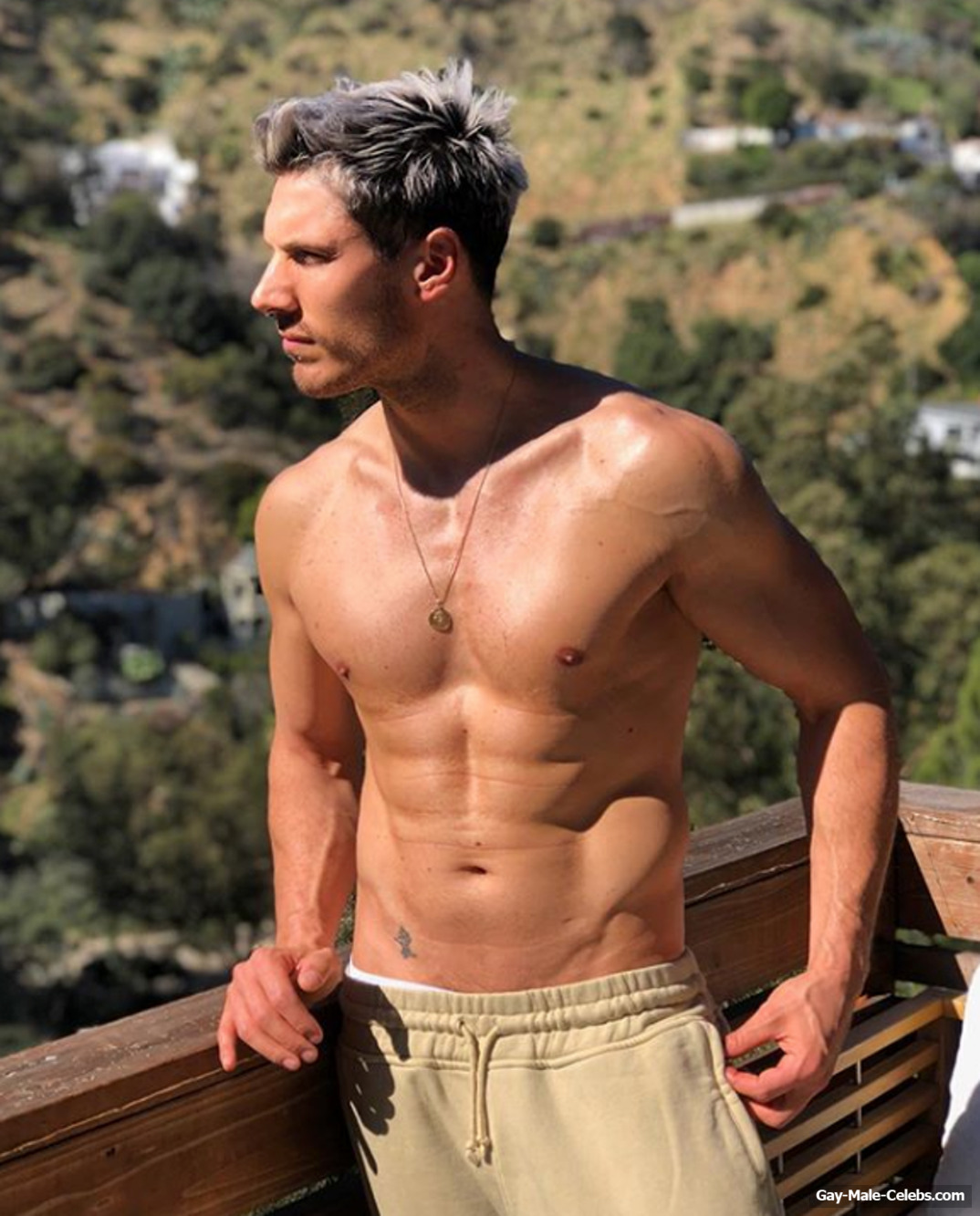Chris Appleton shirtless and cock bulge photos