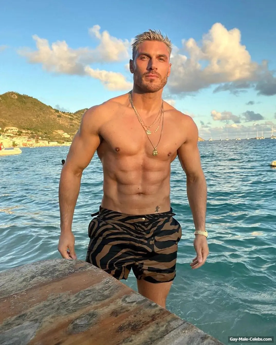 Chris Appleton shirtless and cock bulge photos