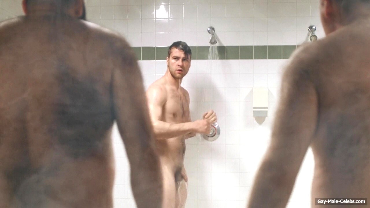 Logan Mainil cock