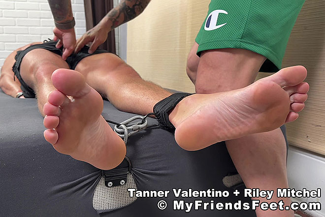 Tanner V Tickled