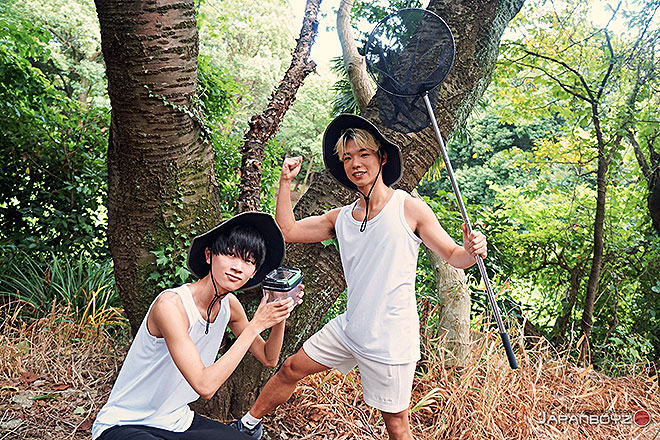Find It In The Forest