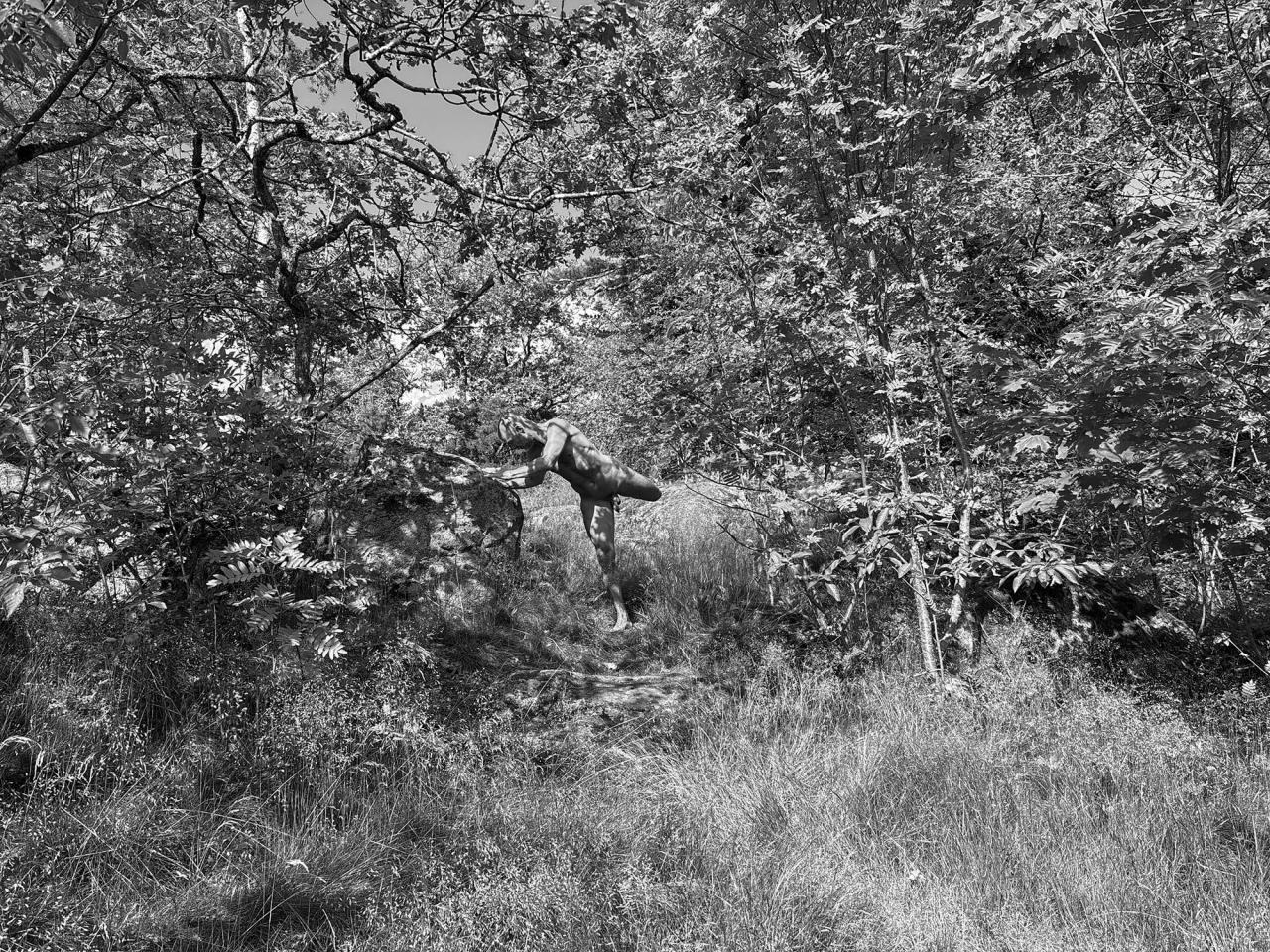 Anders Frisk from Stockholm — nude & free